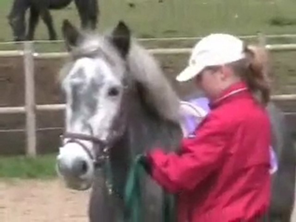 longe 4 avril 2010