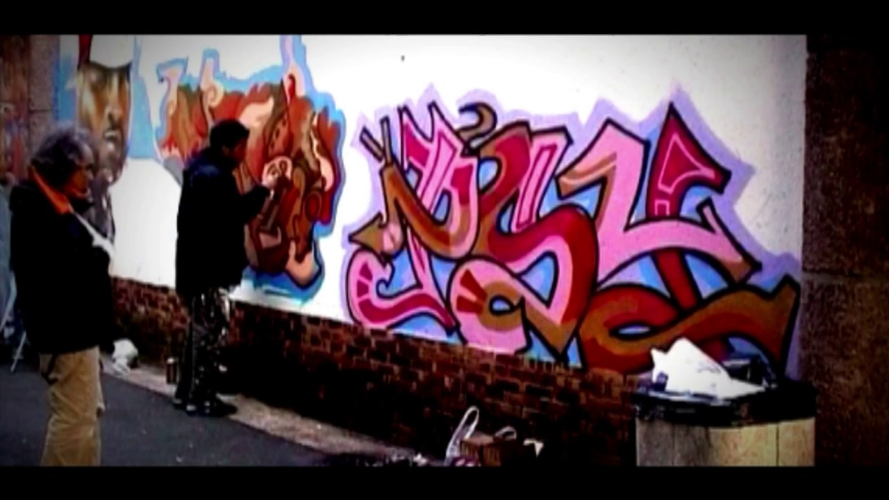 Painterz Dvd (Interlude Various Artists)