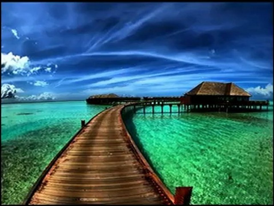 c'est ma terre...Deep Forest