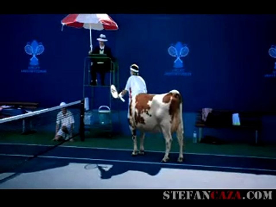 Pub Radio Nova (Australie) : une vache tennisman ?