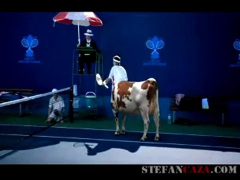 Pub Radio Nova (Australie) : une vache tennisman ?