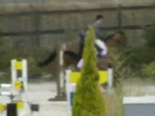 Quidao Louwenn - Haras de Bornival