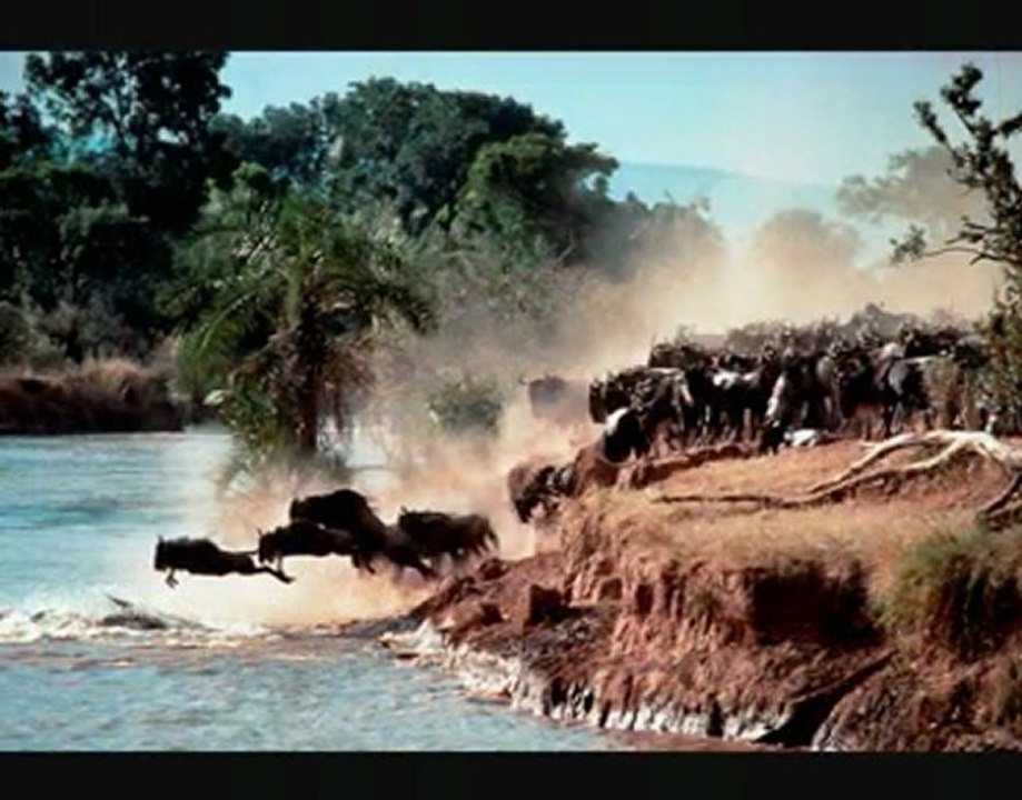 Un voyage en enfer