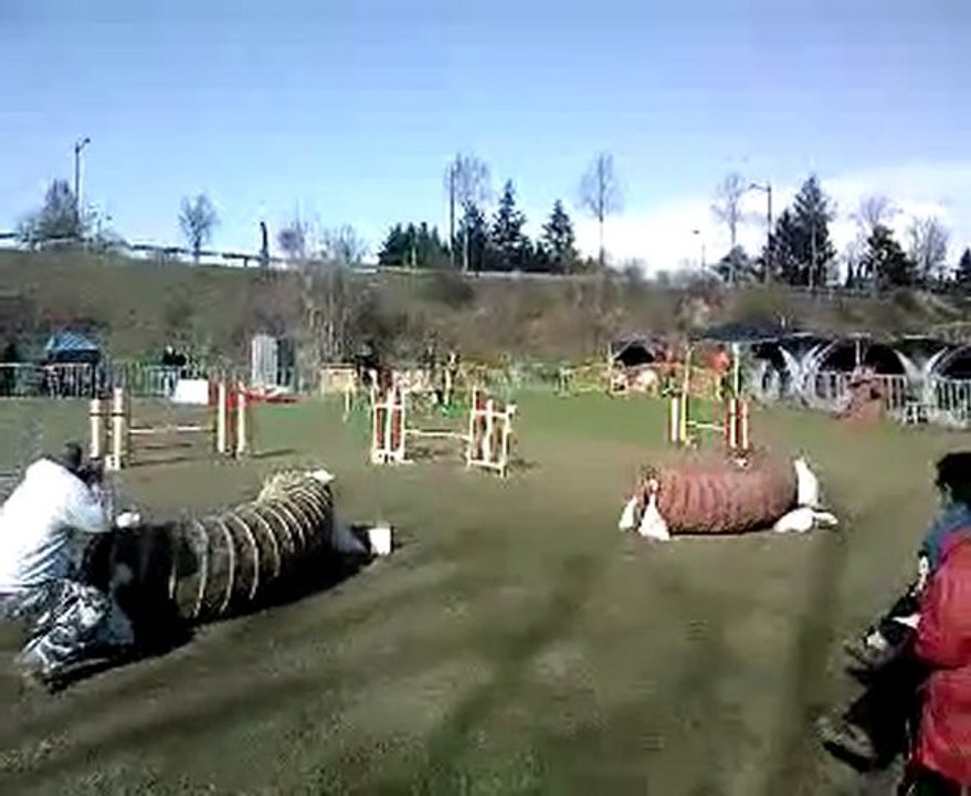 Rock 04-04-2010 St Laurent Jumping