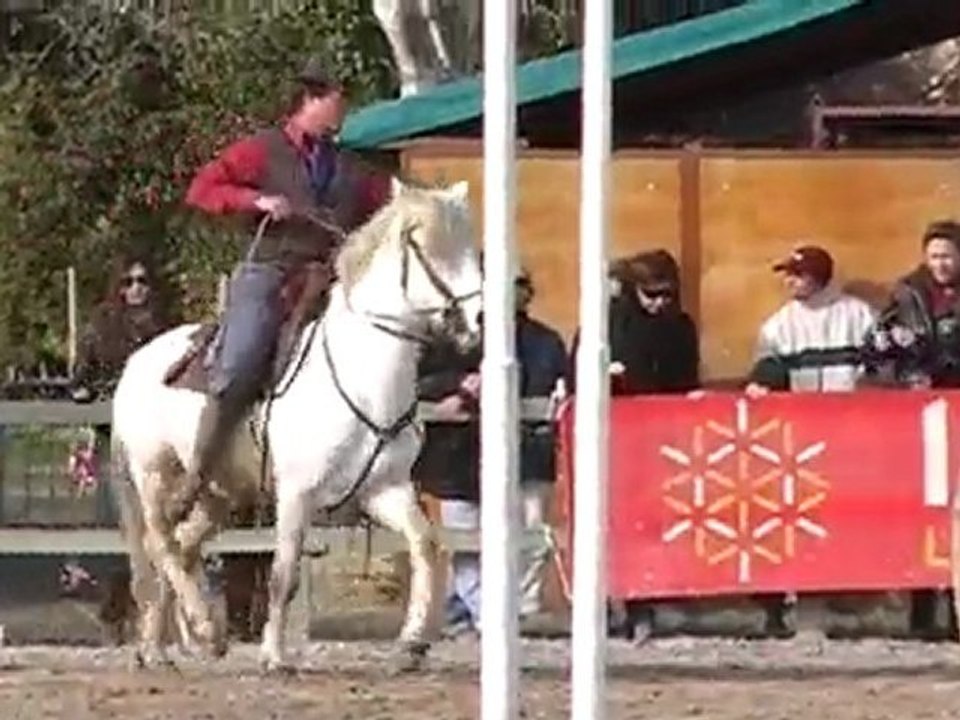 Parcours de maniabilité équitation Camargue à CAMAGRI 2010