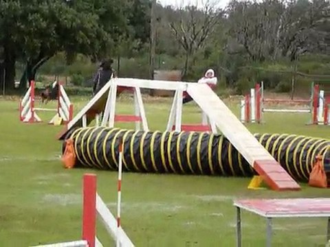 Angie - 2eme degre St Martin de Crau