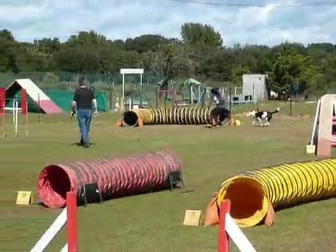 Bulba - GPF St Martin de Crau