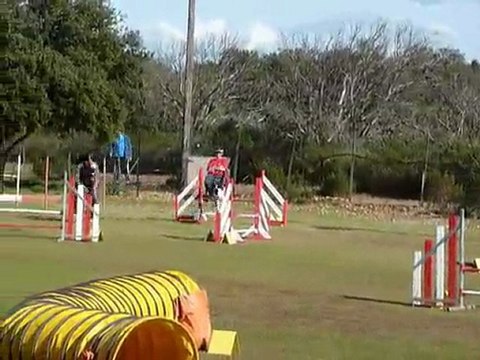 Bulba - Jumping St Martin de Crau