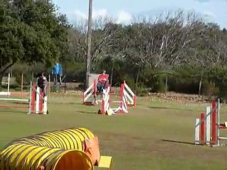 Bulba - Jumping St Martin de Crau