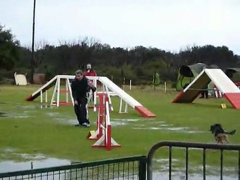 Brownie - Open St Martin de Crau