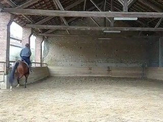 Pouliche de 3 ans, Toréa de Mécleuves