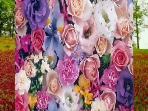 Biesiadne - Słodkie fiołki