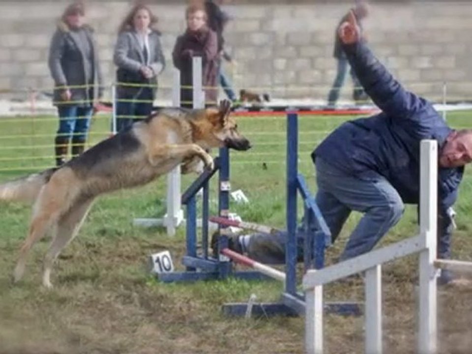Concours Agility à Barges le 4 avril 2010