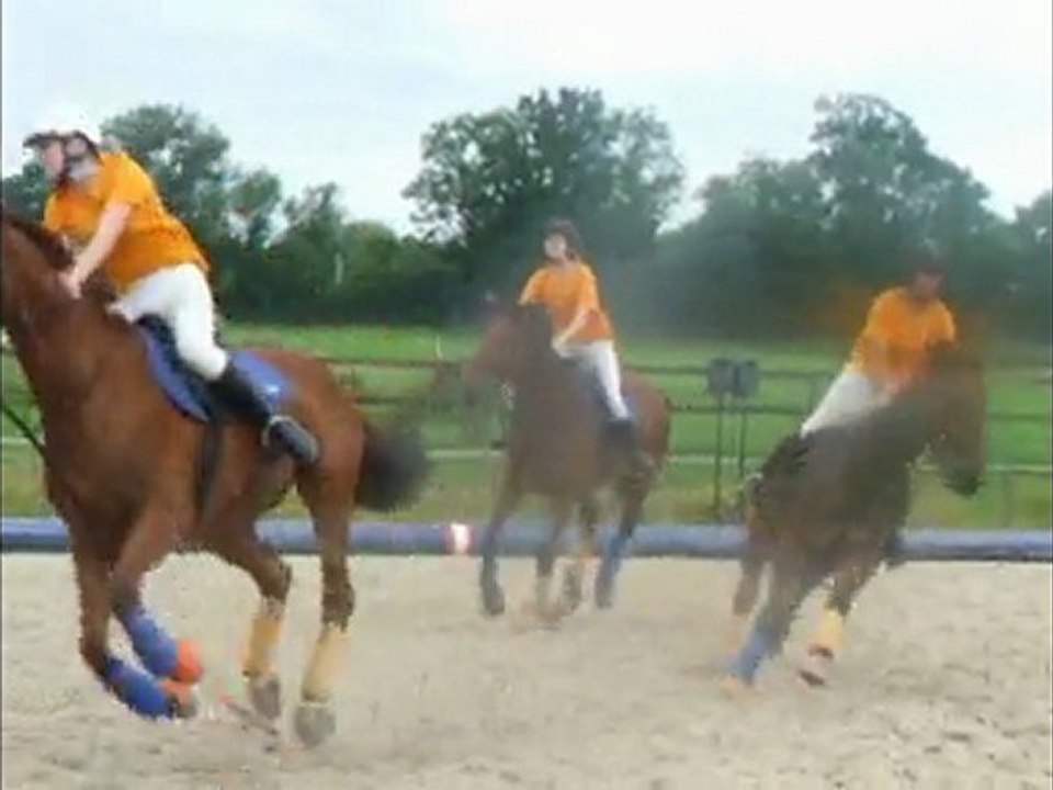 Horse ball team SHA la Rochelle lignieres 2008