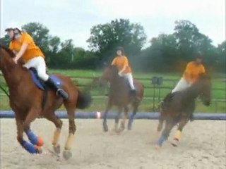 Horse ball team SHA la Rochelle lignieres 2008