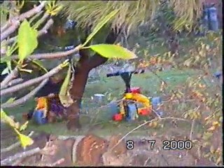 Ridding on Seaview St