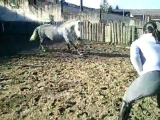 Obélix Paddock Pollionnay 2