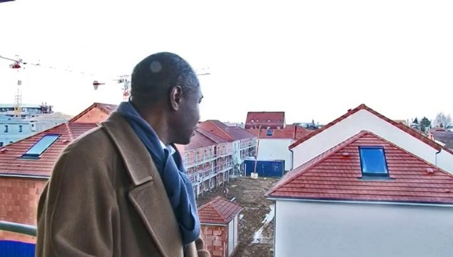 Regards d un retaité David sur le Noyer Renard