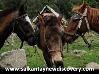 SALKANTAY, SALCANTAY