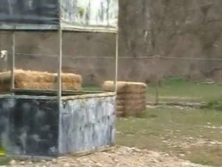 (Paintball en Logroño) La Rioja Despedidas soltero