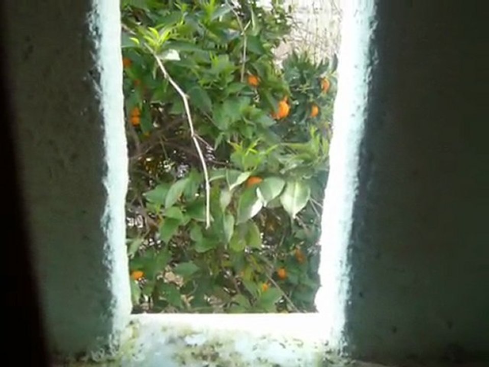 maison d hote a chaouen / muezzin
