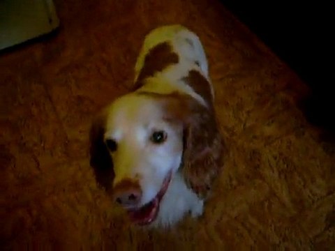 04 04 2010 Préparation des gamelles