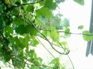 Aarons birthday 18 7 2003