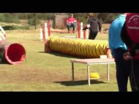 Buck Agility St Martin De Crau 04/04/10