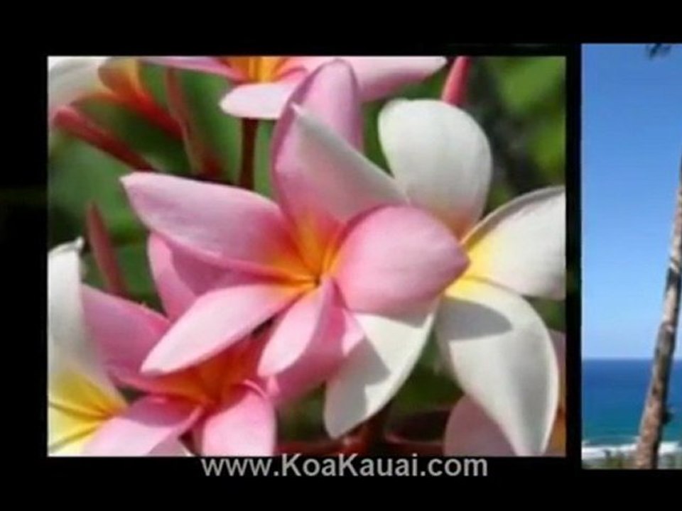 Kauai Island Homes for Sale