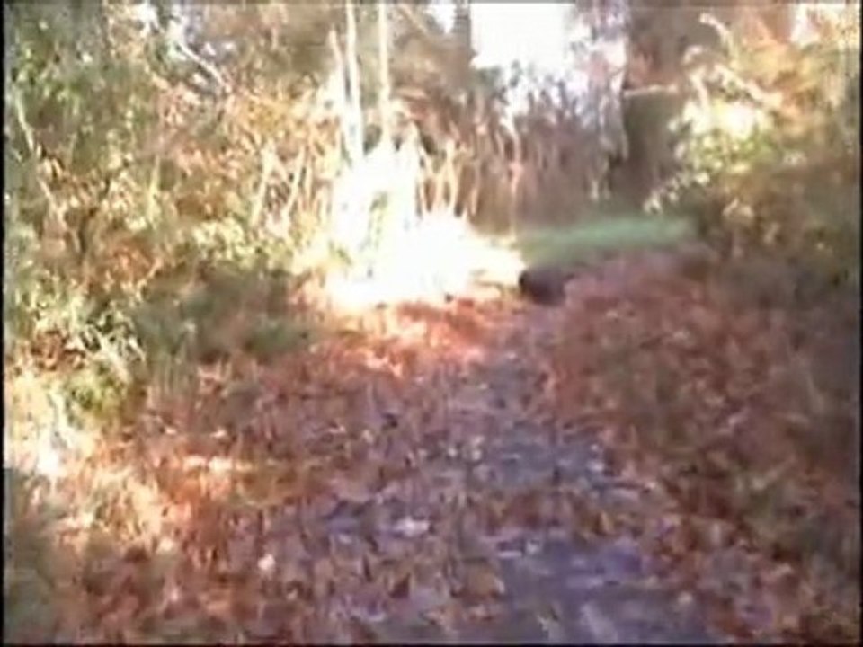 Ballo walk with Basil24.02