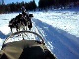 En trineo de perros por Finlandia (2 de 3)