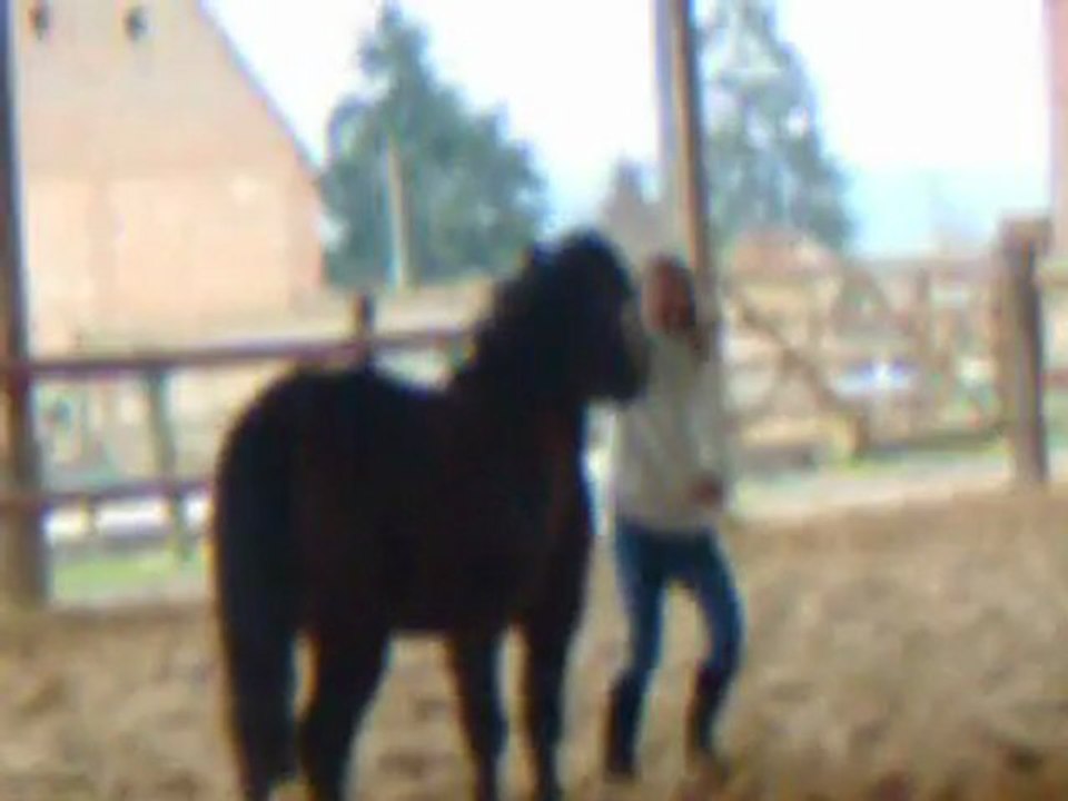 loulou ♥