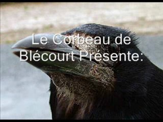 Déformation professionnelle