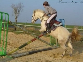 niccolo d'arquetan mon poney <3