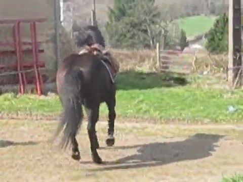Séance Longe De Gibouu 1ere Fois