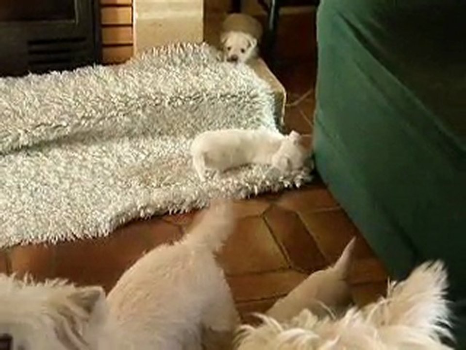 Avec Mamie 20100405_02