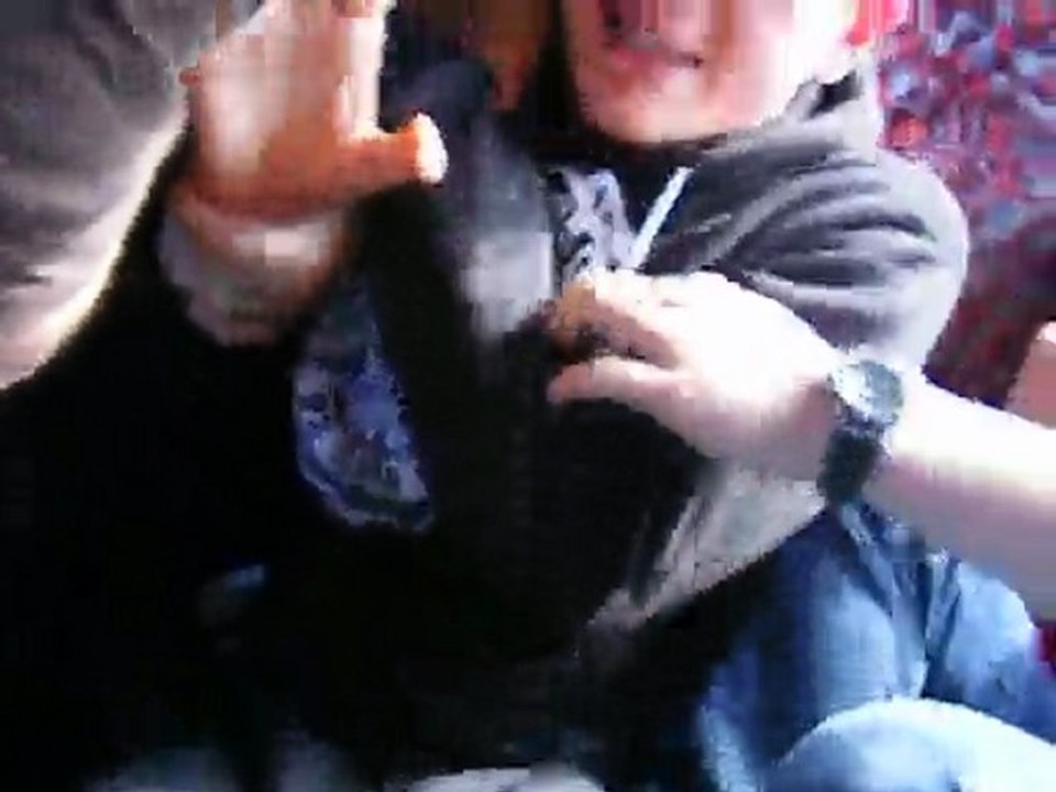 Arrachage du caleçon de Quentin sur le trajet de retour