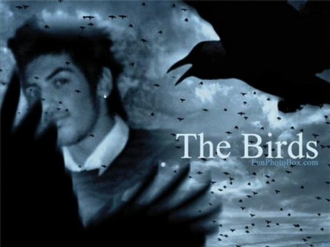 TayLan Türkmen - SENİ ÇOK AMA ÇOK SEVİYORUM 2010.mp3