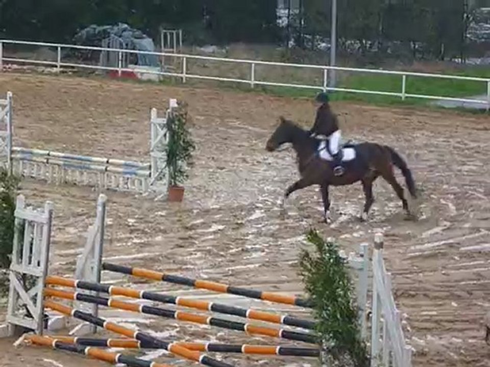 concours du 4 avril 2010 (Beau et maellys)