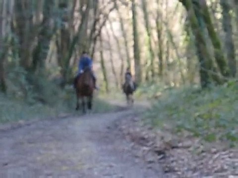 A fond les ballons !!