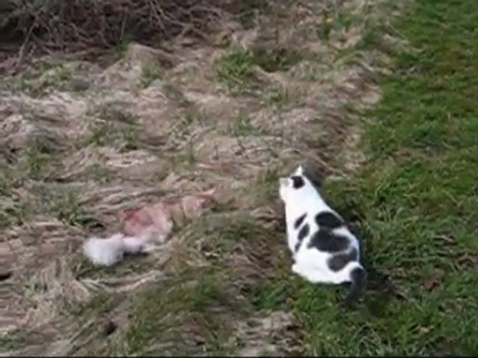 Ensemble au jardin...