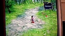 Tales of symphonia Sheena