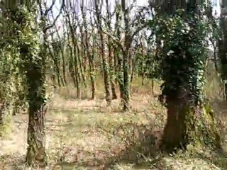 gamelle timale