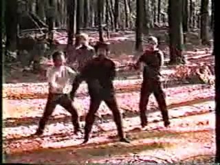 a voir un maitre de Kung fu incroyable