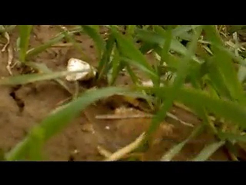 Ballot de paille avec grand saut