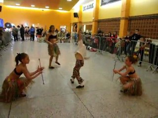 FESTIVAL DES COCCINELLES DE PONT DE METS