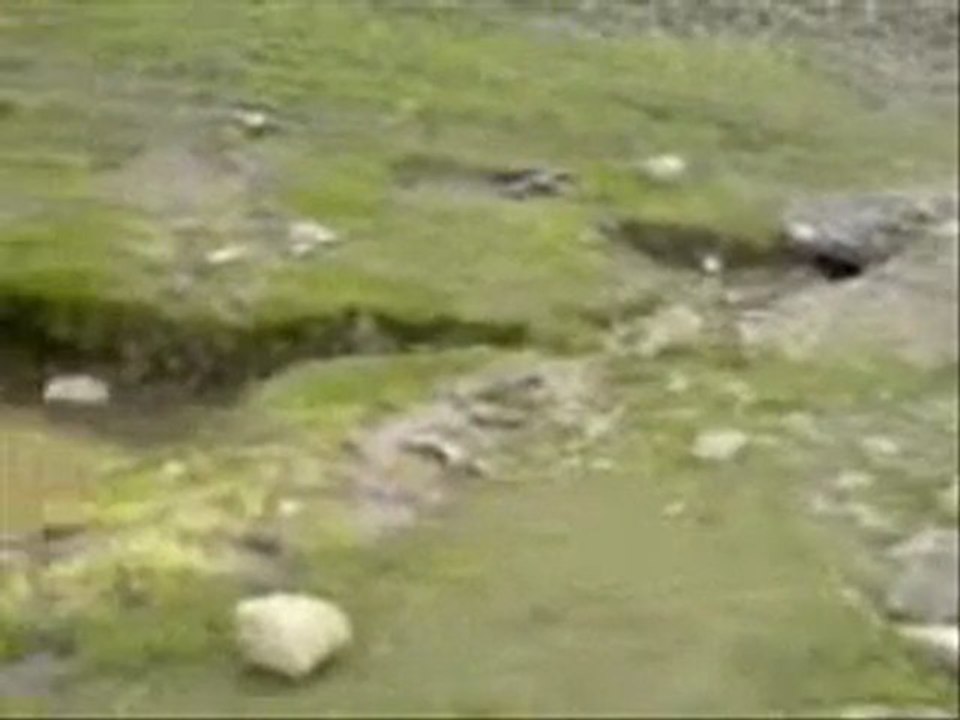 gwel e gelendar (www.xeylan.com)