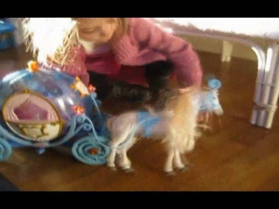 Le petit cheval blanc