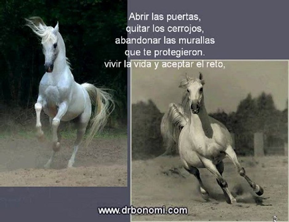 138 El Secreto resumen, video y dvd