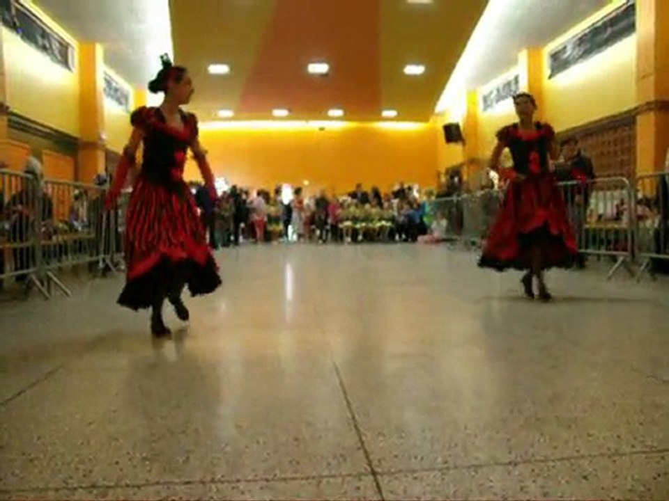 FESTIVAL DES COCCINELLES DE PONT DE METZ